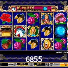 Descubra a Magia dos Jogos de Arcade no 6855